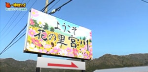 「宮川まちづくり協議会」の活動の様子