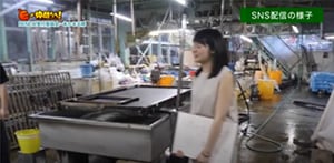 「RENEW実行委員会・あかまる隊」の活動の様子
