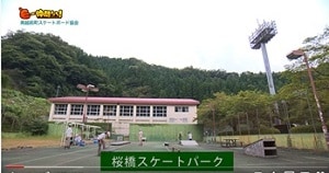 「南越前町スケートボード協会」の活動の様子