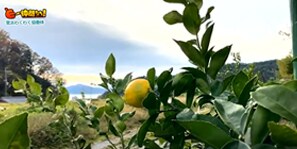 「菅浜わくわく協働体」の活動の様子