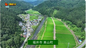  「TMR（TEAM MIYAMA REPRODUCTION）」（小浜市）