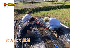  「TMR（TEAM MIYAMA REPRODUCTION）」（小浜市）