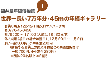 福井県年縞博物館　世界一長い7万年分・45mの年縞ギャラリー