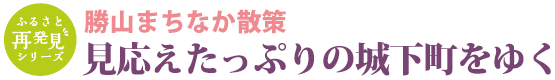 勝山まちなか散策 見応えたっぷりの城下町をゆく