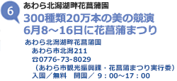 あわら北潟湖畔花菖蒲園 300種類20万本の美の競演 6月8～16日に花菖蒲まつり あわら北潟湖畔花菖蒲園 あわら市北潟211 TEL0776-73-8029 （あわら市観光振興課・花菖蒲まつり実行委）入園／無料 開園／9時から17時