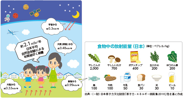 日常生活での放射線イメージ 食物中の放射能量（日本）（単位：ベクレル/kg）