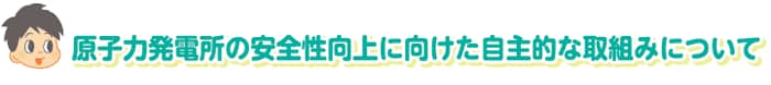 原子力発電所の安全性向上に向けた自主的な取組みについて