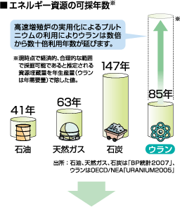 エネルギー資源の可採年数※（図）