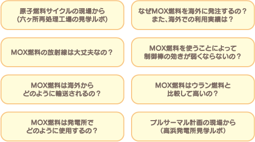 今後のプルサーマル特集の主な掲載内容（予定）