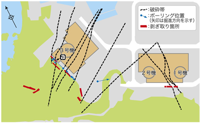 美浜発電所敷地内の破砕帯と調査位置図