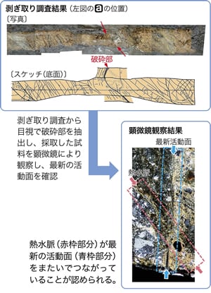 剥ぎ取り調査結果　図