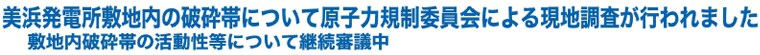 美浜発電所敷地内の破砕帯について原子力規制委員会による現地調査が行われました
敷地内破砕帯の活動性等について継続審議中