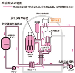 系統除染の範囲