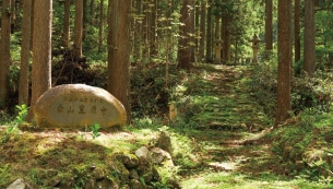 旧白山神社の参道