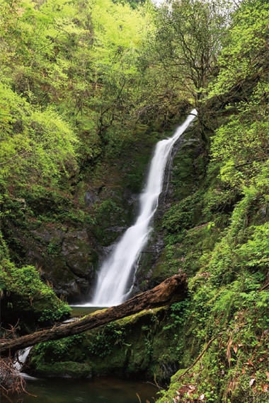 古い伝説を秘めている野鹿の滝 古い伝説を秘めている野鹿の滝