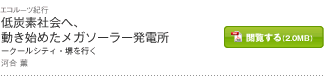 低炭素社会へ、動き始めたメガソーラー発電所-クールシティ・堺を行く 河合 薫