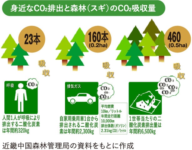 近畿中国森林管理局の資料をもとに作成