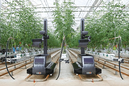 ミニトマト収穫ロボット