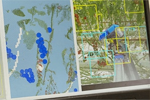 AIが果実の熟度を判断する