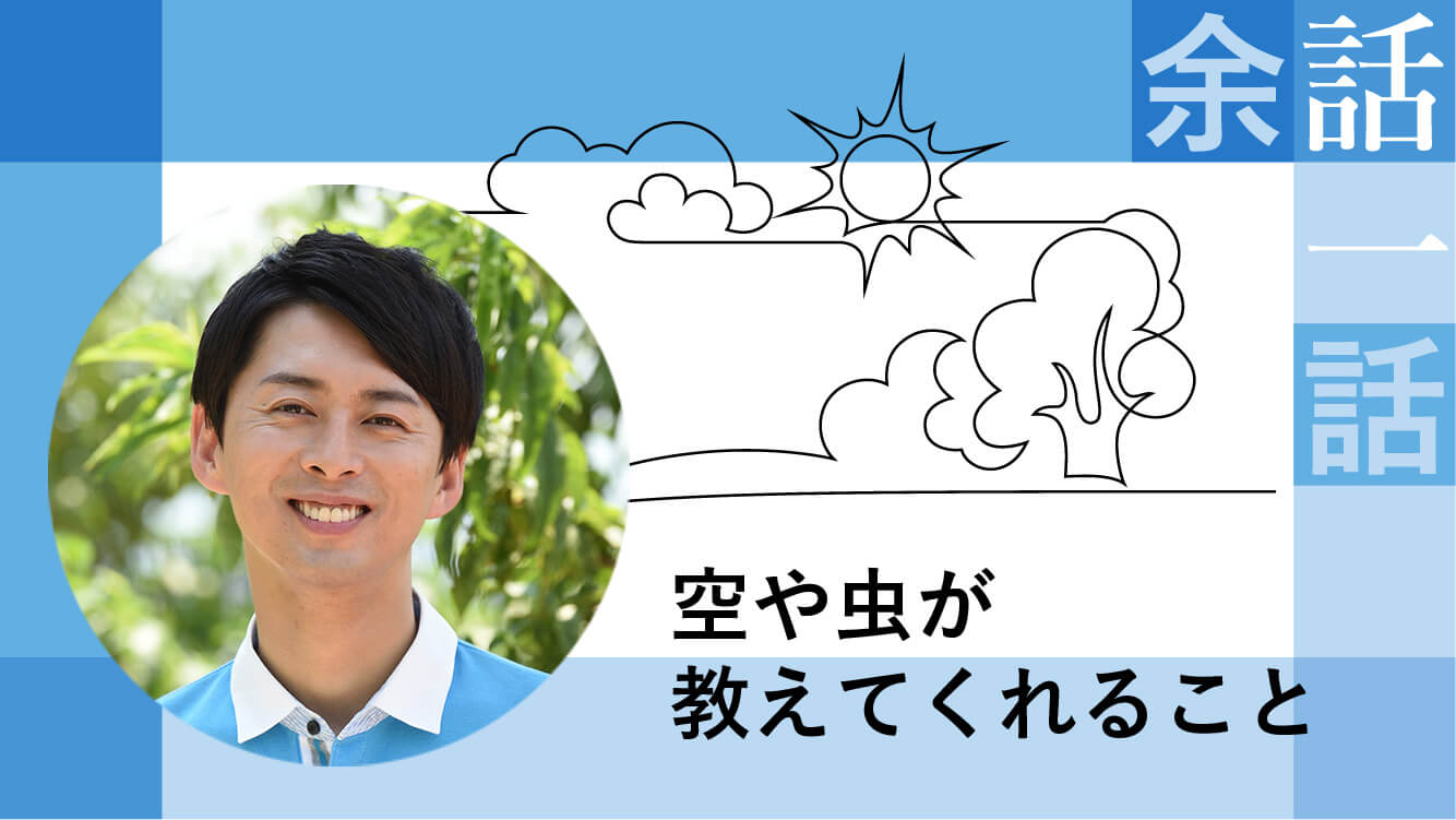 コラム｜空や虫が教えてくれること【蓬莱 大介】