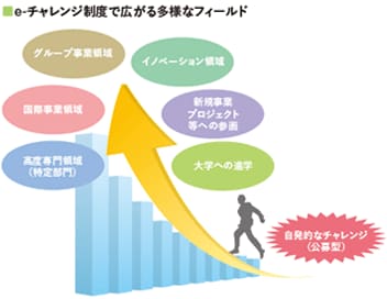 e-チャレンジ制度で広がる多様なフィールド