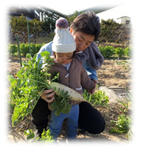 子どもとの野菜収穫体験
