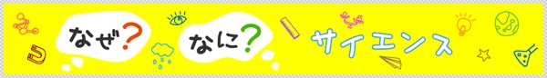 なぜ？なに？サイエンス