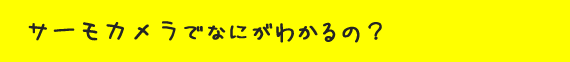 サーモカメラでなにがわかるの？