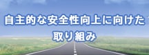 自主的な安全性向上に向けた取り組み