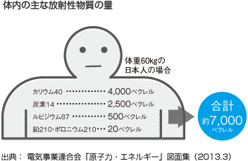 体内の主な放射性物質の量