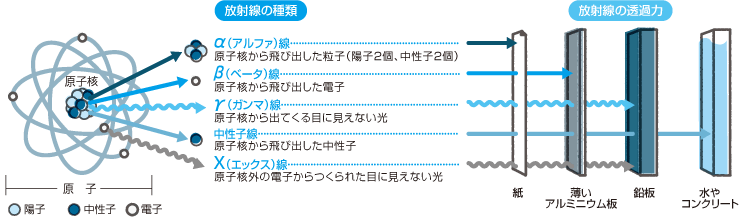 放射線の種類と放射能の透過力