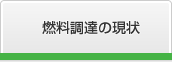 燃料調達の現状