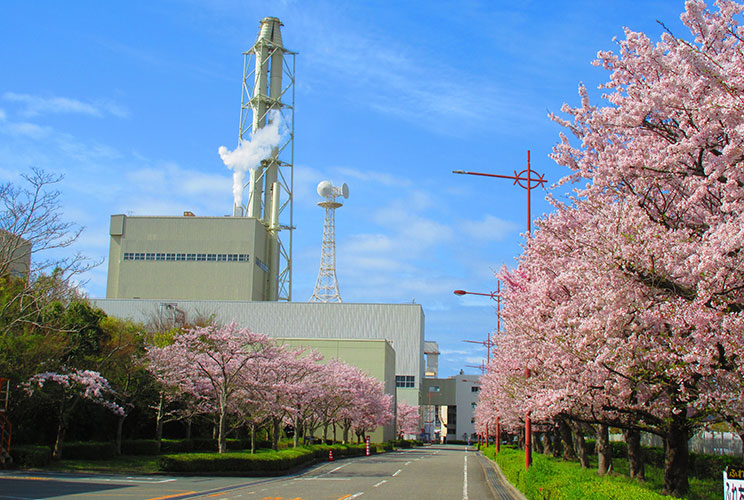 桜咲く地域共生型の発電所
