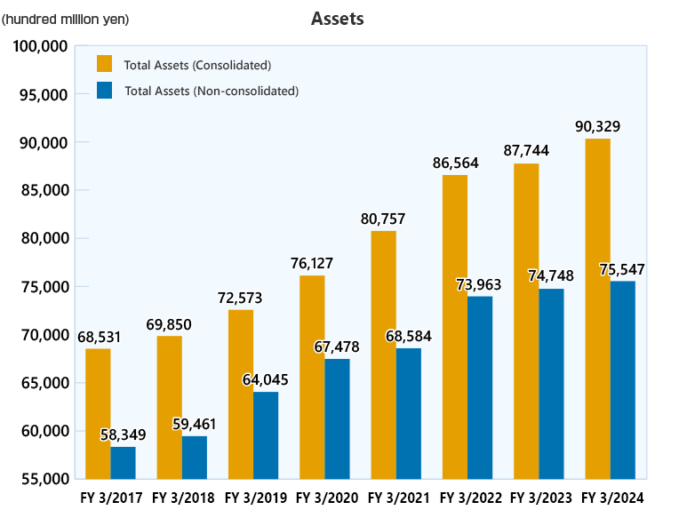 Assets (consolidated/non-consolidated)