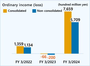 Ordinary income (loss)