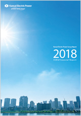 Kansai Electric Power Group Report 2018