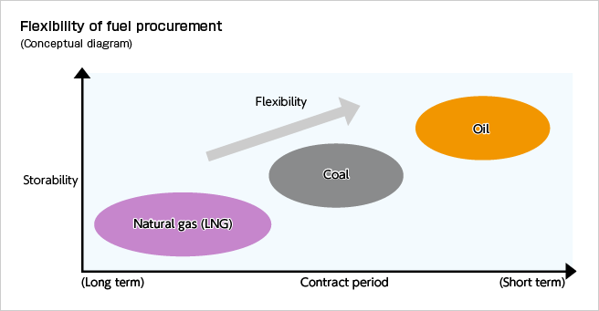 Flexibility of fuel procurement (Conceptual diagram)