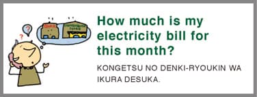 How much is my electricity bill for this month?