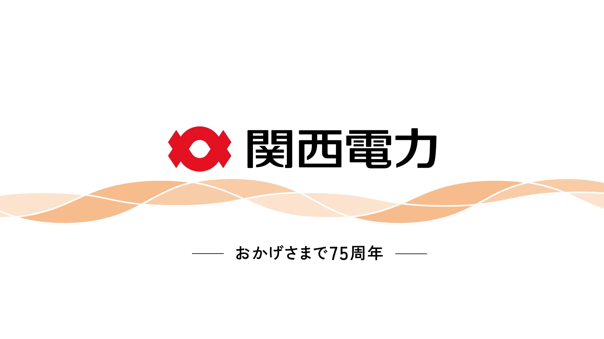 関西 電力 株式 会社