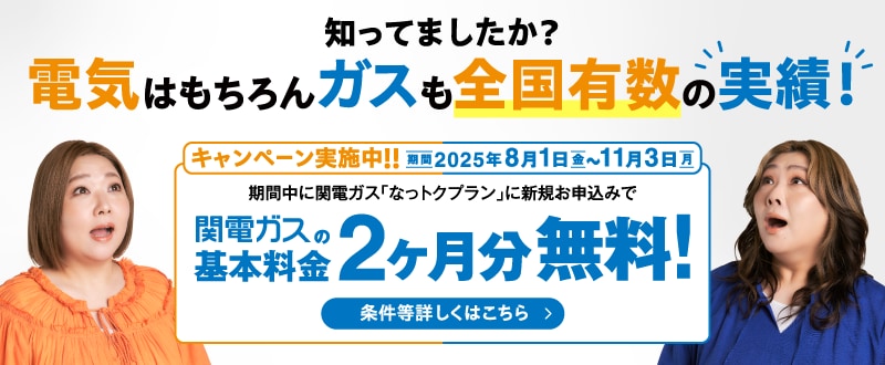 知ってましたか？電気はもちろんガスも全国有数の実績！