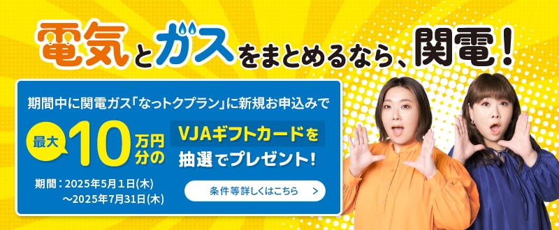 電気とガスをまとめるなら、関電！