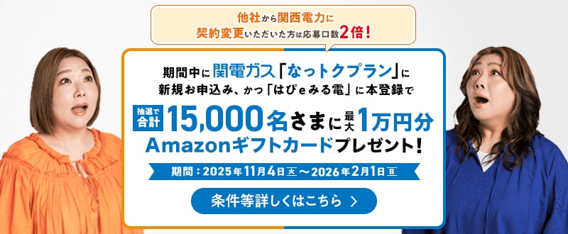 期間中に関電ガス「なっトクプラン」に新規お申込み、かつ「はぴｅみる電」に本登録で抽選で合計15,000名さまに最大1万円分のAmazonギフトカードプレゼント！期間：2025年11月4日（火）～2026年2月1日（日）他社から関西電力に契約変更いただいた方は応募口数2倍！条件等詳しくはこちら