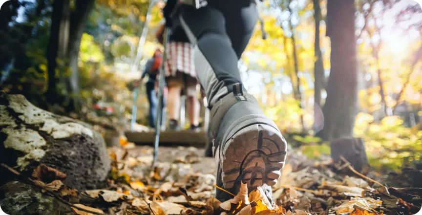「目的地」としての完成度
