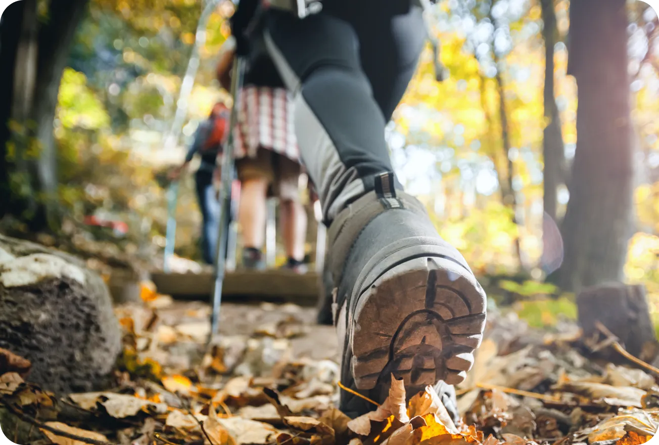 「目的地」としての完成度