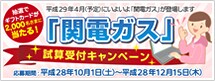関電ガス「試算受付キャンペーン」