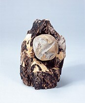 ナイスキャッチ ナイスキャッチ