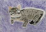 トラ猫、ゴン トラ猫、ゴン