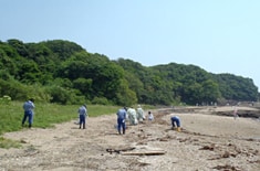 天神崎での清掃活動（和歌山県田辺市）