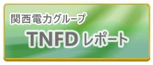 関西電力グループ TNFDレポート
