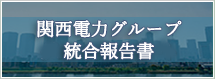 関西電力グループ 統合報告書